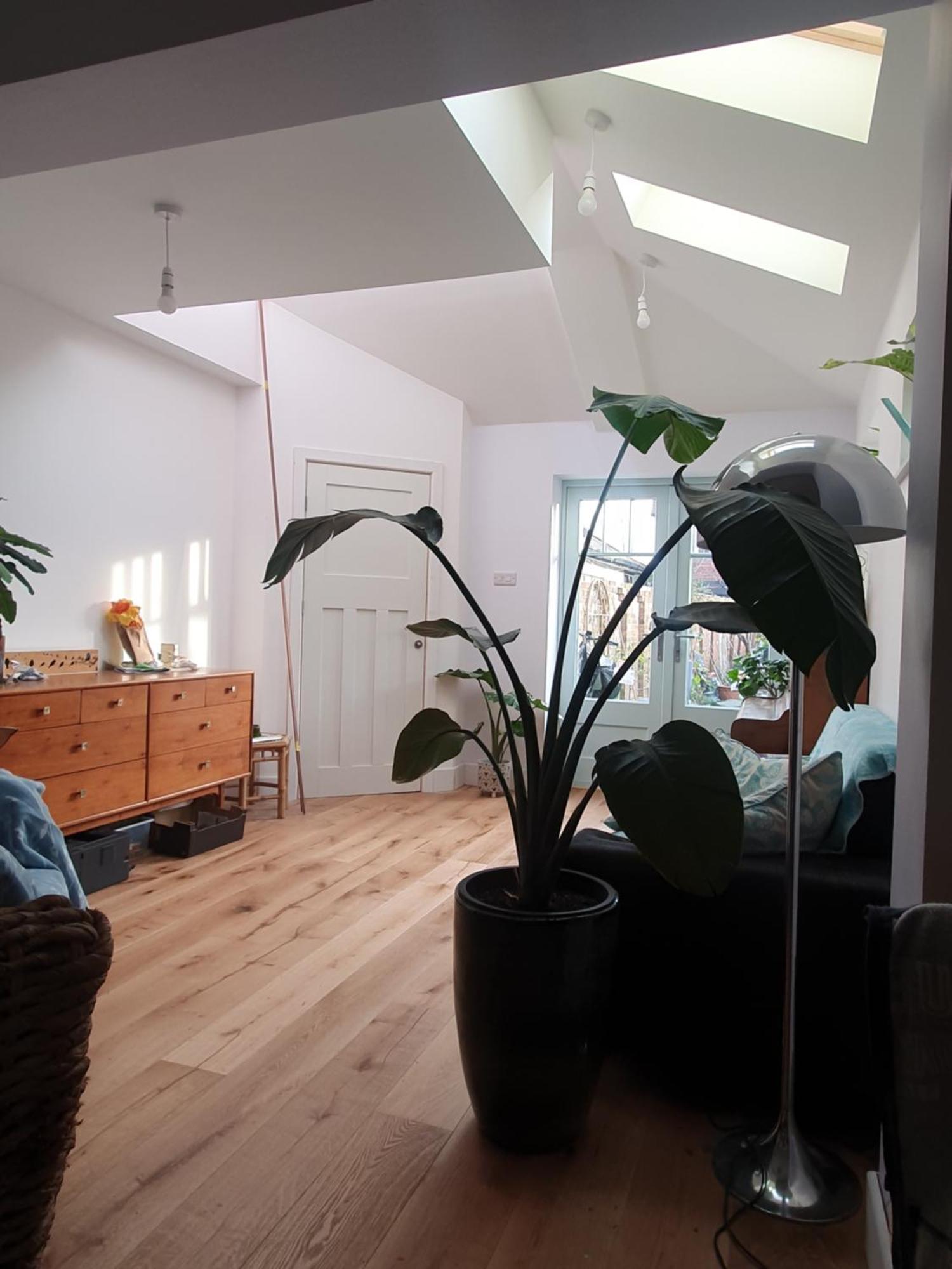 Lotus Pod House Homestay Horsell Exteriér fotografie