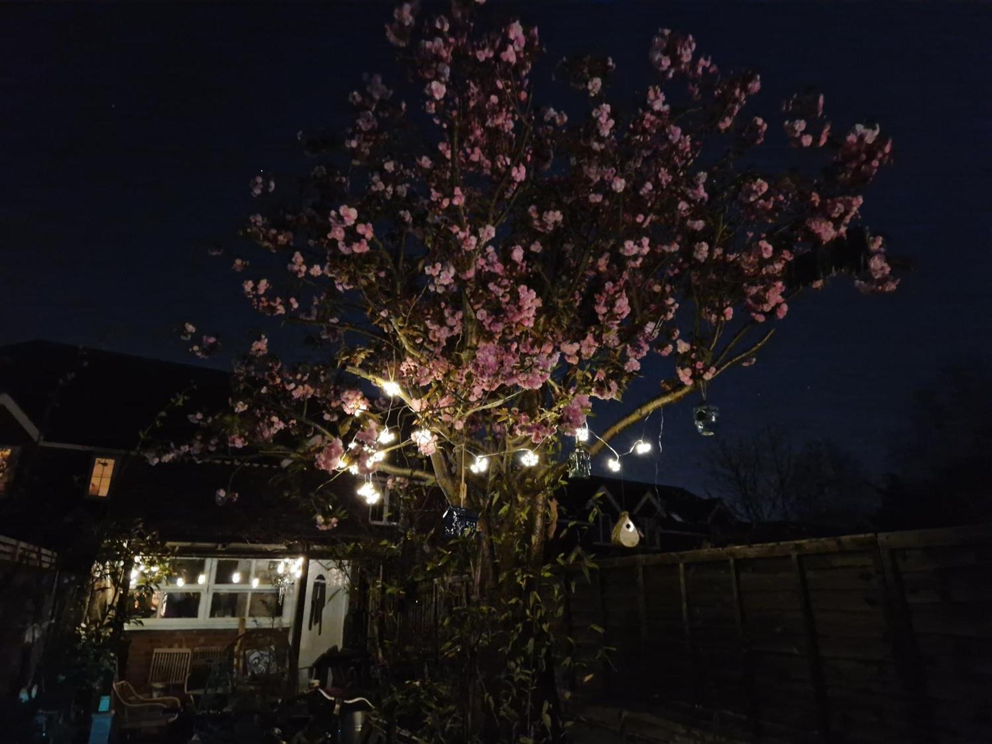 Lotus Pod House Homestay Horsell Exteriér fotografie