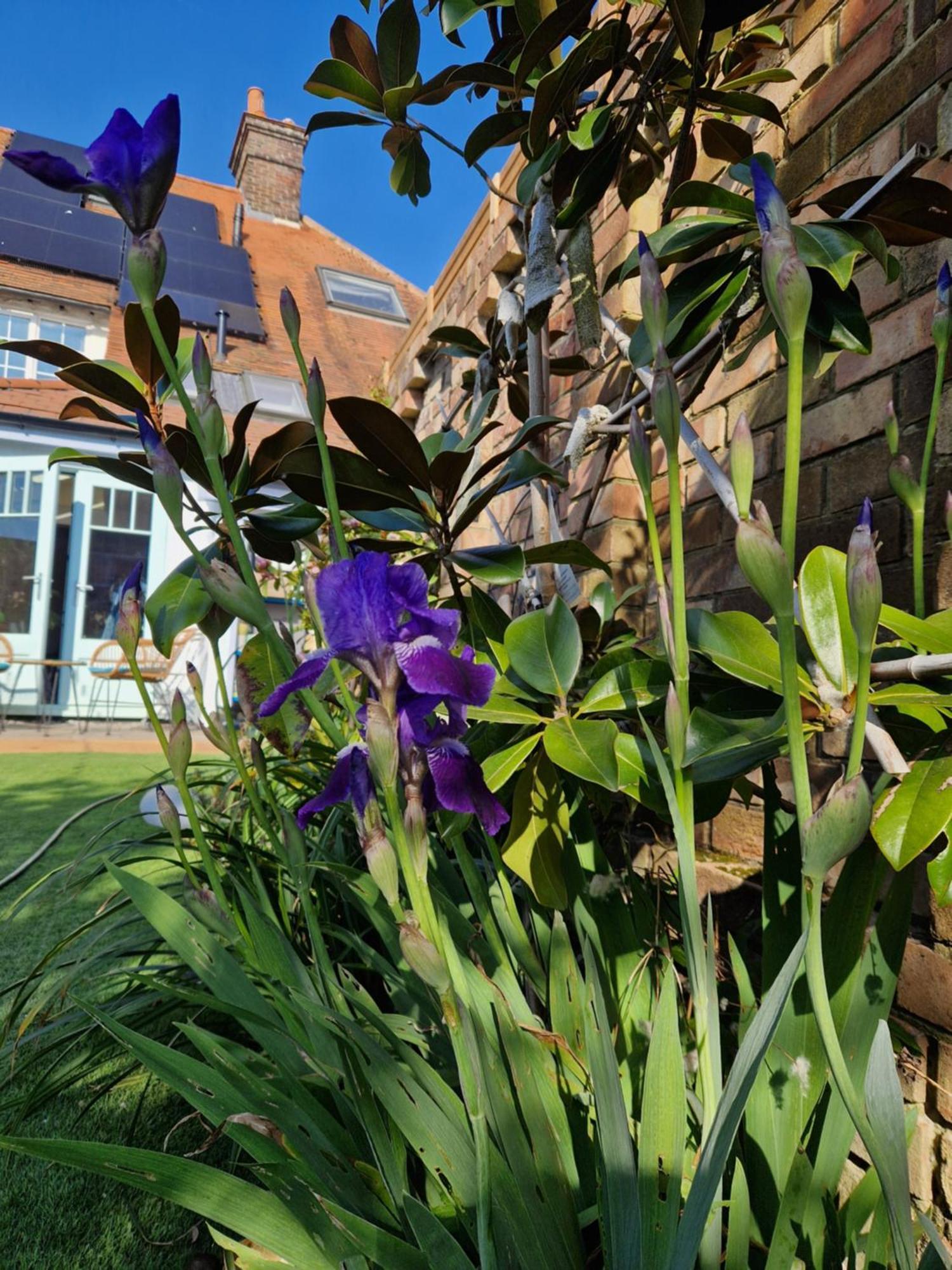 Lotus Pod House Homestay Horsell Exteriér fotografie